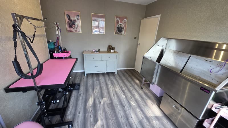 The grooming room at Prim & Poocher, with a pink-topped hydraulic table, stainless steel bath and framed dog prints on the wall